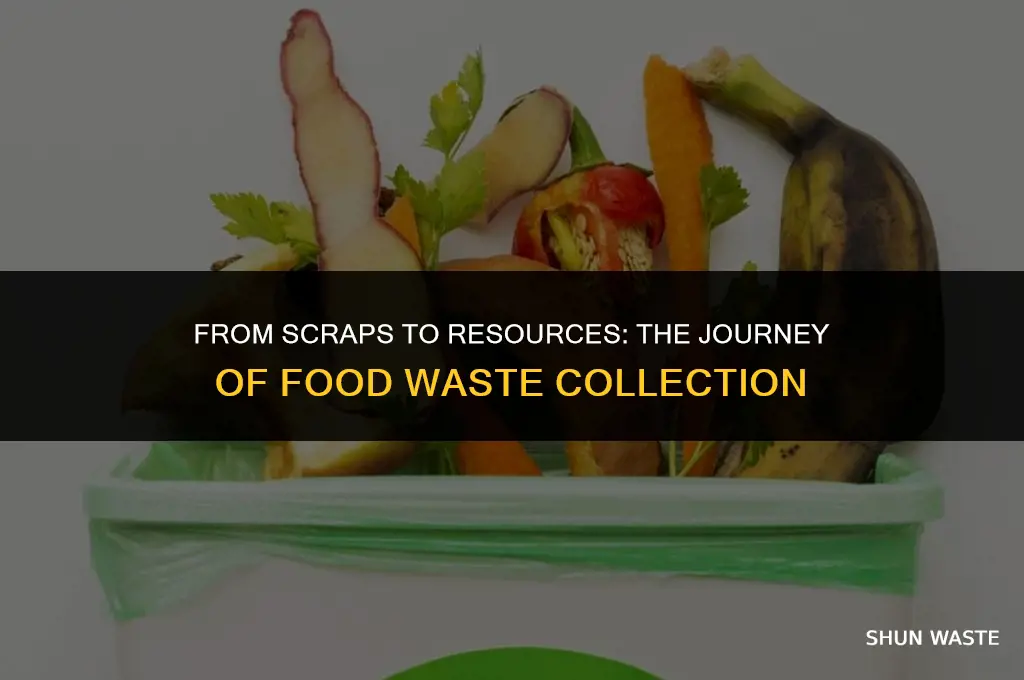 what happens to food waste collection