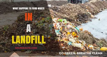 The Hidden Consequences: Food Waste's Journey in a Landfill