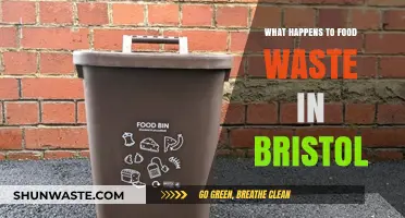 From Waste to Resource: Bristol's Food Waste Management Journey