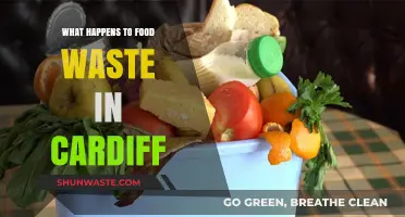 From Waste to Resource: Cardiff's Food Waste Management Journey