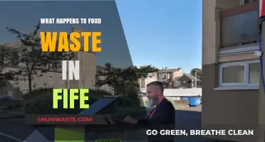 From Waste to Resource: Fife's Food Waste Management Journey