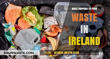 Unveiling the Fate of Food Waste in Ireland: A Comprehensive Look