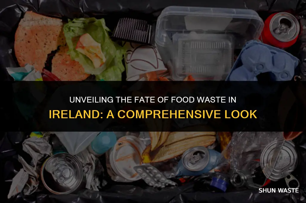 what happens to food waste in ireland