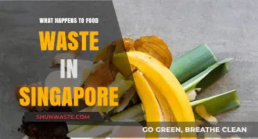 From Waste to Resource: Singapore's Food Waste Management Journey