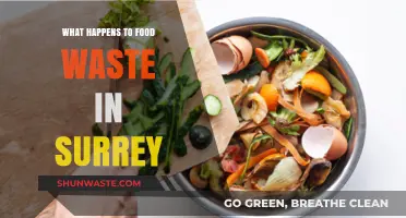 From Scraps to Resources: Surrey's Food Waste Transformation Journey