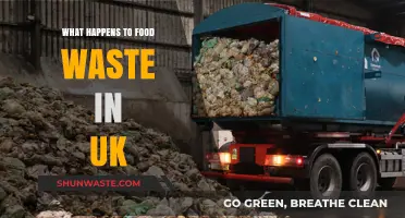 From Waste to Resource: The Journey of Food Scraps in the UK