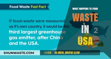 The Fate of Food Waste in the USA: A Comprehensive Overview