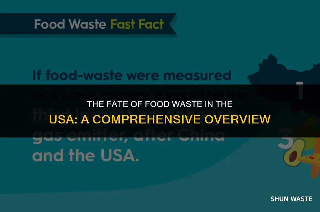 what happens to food waste in usa