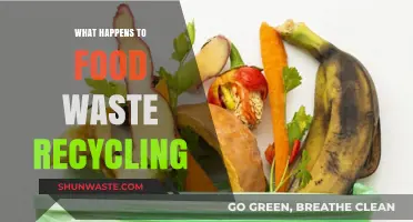 From Scraps to Resources: The Journey of Food Waste Recycling