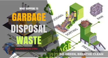 The Journey of Waste: What Really Happens After You Pull the Garbage Disposal Lever?