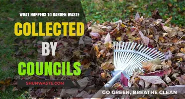 Where Does Garden Waste Go? Council Collection Explained