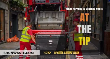 From Tip to Transformation: The Journey of General Waste Explained