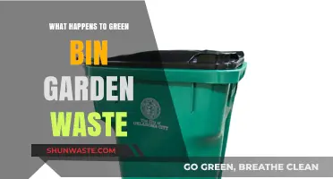 From Garden to Green Bin: The Journey of Organic Waste Recycling