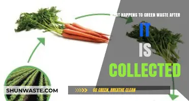 From Curbside to Compost: The Journey of Green Waste Collection