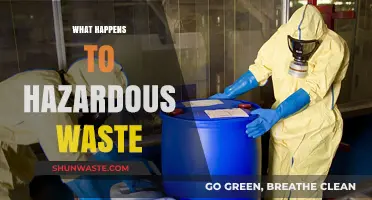 The Perilous Journey of Hazardous Waste: From Generation to Disposal