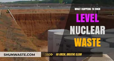 The Fate of High-Level Nuclear Waste: Storage, Risks, and Solutions
