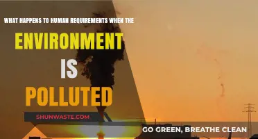 Human Health: The Impact of Environmental Pollution