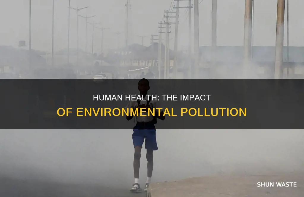 what happens to human requirements when the environment is polluted