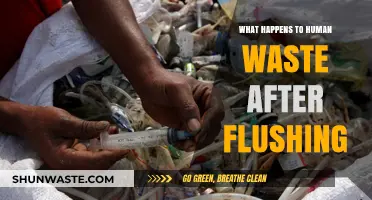 From Flush to Finish: The Journey of Human Waste Explained