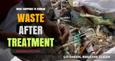 From Flush to Finish: The Journey of Treated Human Waste