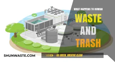 From Flush to Finish: The Journey of Human Waste and Trash