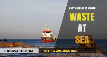 Ocean Disposal of Human Waste: Environmental Impact and Regulations Explained