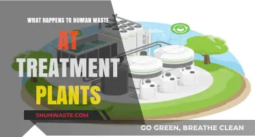 From Flush to Finish: How Treatment Plants Handle Human Waste