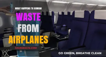 Where Does It Go? The Surprising Journey of Airplane Waste