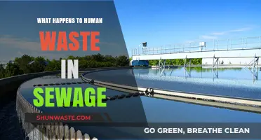From Flush to Finish: The Journey of Human Waste in Sewage