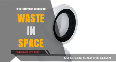 Space Toilets: How Astronauts Manage Human Waste in Zero Gravity
