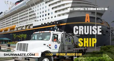 Cruise Ship Waste Management: The Journey of Human Waste at Sea