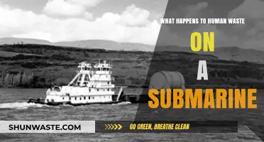 Submarine Sanitation Secrets: The Journey of Human Waste Underwater