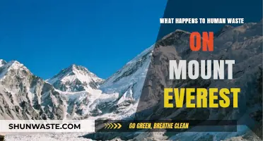 Mount Everest's Dark Secret: The Shocking Fate of Human Waste