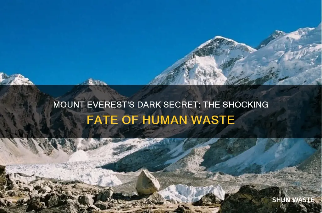 what happens to human waste on mount everest