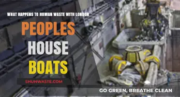 London Houseboats: Unveiling the Fate of Human Waste on the Thames