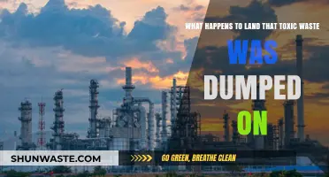 Toxic Legacy: The Long-Term Effects of Waste Dumping on Land