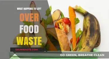 From Scraps to Resources: The Surprising Journey of Food Waste