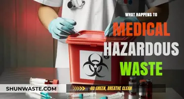 The Unseen Peril: Journey of Medical Hazardous Waste