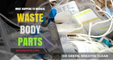 Disposal of Medical Waste Body Parts: Ethical and Environmental Considerations