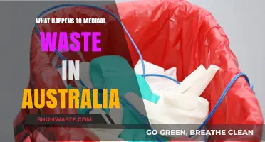 Australia's Medical Waste Management: Disposal, Recycling, and Environmental Impact