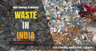 India's Medical Waste Crisis: Disposal, Challenges, and Environmental Impact