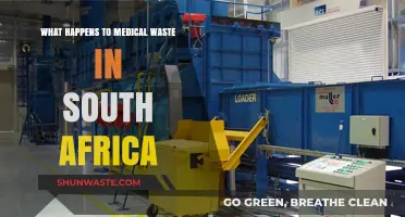 South Africa's Medical Waste Management: Disposal, Challenges, and Environmental Impact