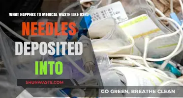 Safe Disposal of Used Needles and Medical Waste: What Happens Next?