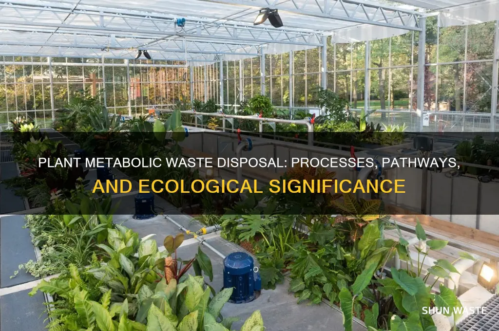 what happens to metabolic wastes in plants