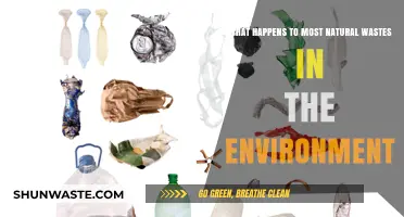 Natural Waste's Environmental Fate: Decomposition, Pollution, and Ecosystem Impact Explained