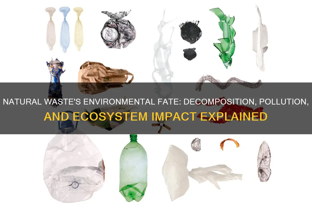 what happens to most natural wastes in the environment