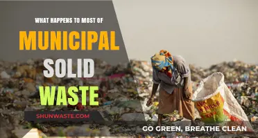 Where Does Our Trash Go? The Fate of Municipal Solid Waste