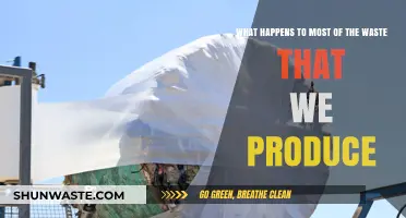 Where Does Our Waste Go? Uncovering the Journey of Discarded Items