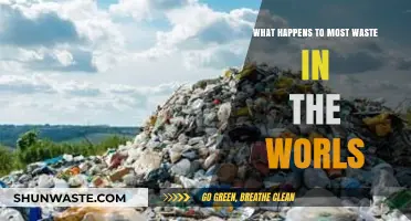 Global Waste Crisis: Where Does Most of Our Trash End Up?