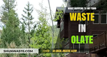 Olate's Yard Waste Journey: From Curbside to Sustainable Solutions